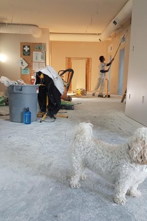 Magalela_Trading_7_50